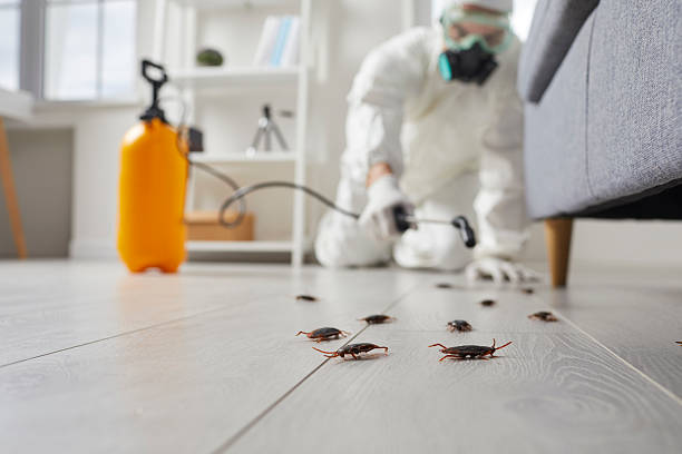 Trusted Cockroach Control service in East Rockaway, NY - Nex Pest Control