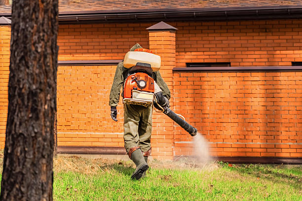 Trusted Fumigation Services service in East Rockaway, NY - Nex Pest Control
